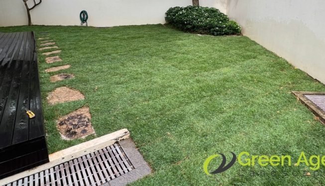 grass-turfing-services-greenage-landscaping-services-singapore-landed-bedok-12