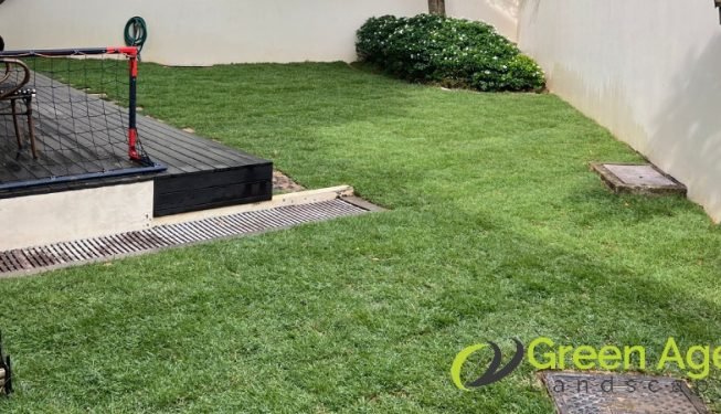 grass-turfing-services-greenage-landscaping-services-singapore-landed-bedok-13