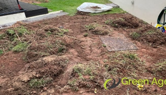 grass-turfing-services-greenage-landscaping-services-singapore-landed-bedok-5