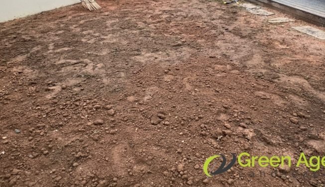 grass-turfing-services-greenage-landscaping-services-singapore-landed-bedok-6