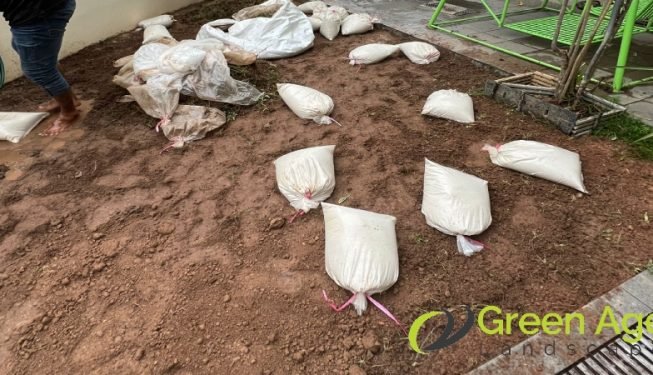 grass-turfing-services-greenage-landscaping-services-singapore-landed-bedok-8