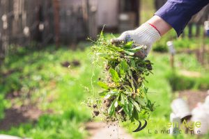 area-preparation-diy-guide-6-simple-steps-for-installing-fake-grass-greenage-landscaping-services-singapore