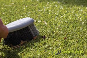 brush-the-grass-10-tips-to-extend-the-lifespan-of-your-fake-grass-greenage-landscaping-services-singapore