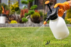 The Ultimate Guide to DIY Grass Turfing Installation for Your Singapore Garden 4 care-and-maintenance-the-ultimate-guide-to-diy-grass-turfing-installation-for-your-singapore-garden-grass-turfing-greenage-landscaping-services-singapore