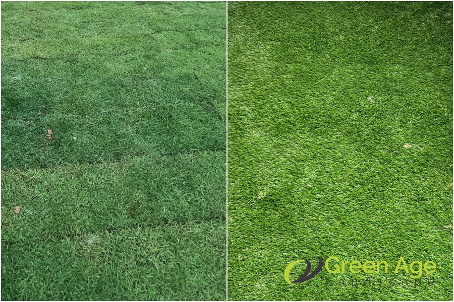 carpet-grass-artificial-grass-greenage-landscaping-services-singap-wm