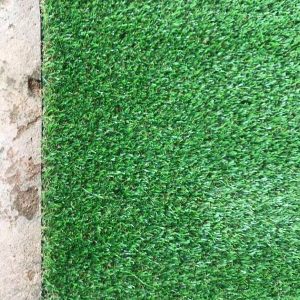 carpet-grass-feature-product-image-greenage-landscape-singapore