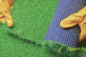 carpet-grass-replacement-thumbnail-greenage-landscaping-services-singapore