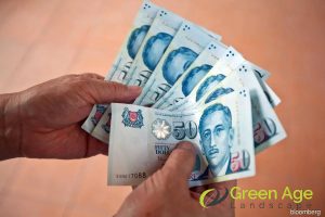 The Ultimate Guide to DIY Grass Turfing Installation for Your Singapore Garden 5 cost-considerations-the-ultimate-guide-to-diy-grass-turfing-installation-for-your-singapore-garden-grass-turfing-greenage-landscaping-services-singapore