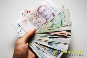 cost-hiring-professional-hedge-trimming-services-vs-diy-what-you-need-to-know-hedge-trimming-greenage-landscaping-services-singapore