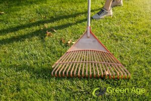 debris-removal-10-tips-to-extend-the-lifespan-of-your-fake-grass-greenage-landscaping-services-singapore