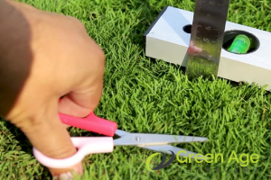 The Do's and Don'ts of Grass Turf Maintenance in Singapore 4 donts-cutting-too-short-the-dos-and-donts-of-grass-turf-maintenance-grass-turfing-greenage-landscaping-services-singapore