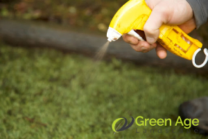 The Do's and Don'ts of Grass Turf Maintenance in Singapore 5 donts-using-harsh-chemicals-the-dos-and-donts-of-grass-turf-maintenance-grass-turfing-greenage-landscaping-services-singapore