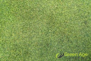 5 Common Fake Grass Issues in Singapore and How to Fix Them 4 fading-5-common-fake-grass-issues-and-how-to-fix-them-fake-grass-greenage-landscaping-services-singapore