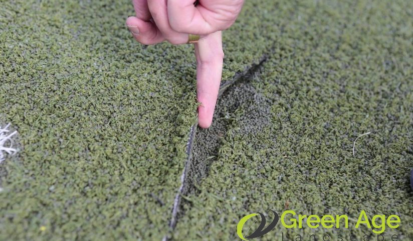 featured-image-damaged-fake-grass-5-common-fake-grass-issues-and-how-to-fix-them-fake-grass-greenage-landscaping-services-singapore