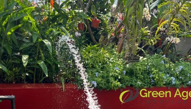 garden-maintenance-services-greenage-landscaping-services-singapore-landed-geylang-10