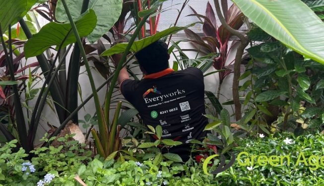 garden-maintenance-services-greenage-landscaping-services-singapore-landed-geylang-3