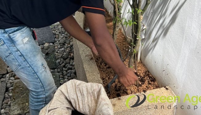 garden-maintenance-services-greenage-landscaping-services-singapore-landed-geylang-7