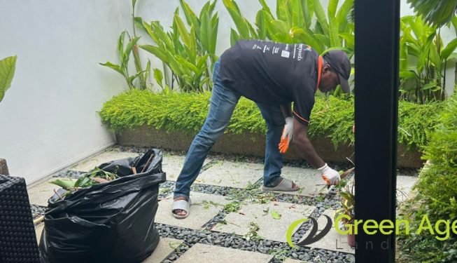 garden-maintenance-services-greenage-landscaping-services-singapore-landed-geylang-8