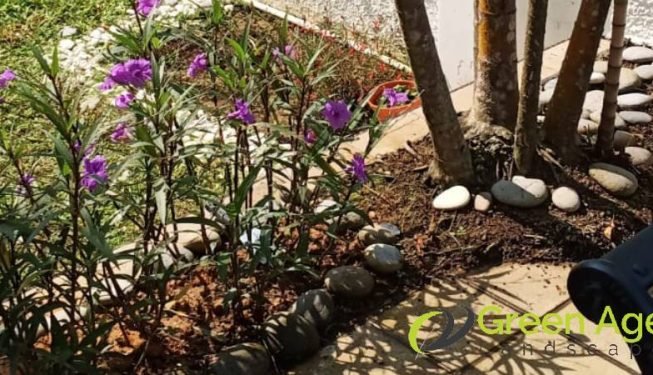 gardener-service-greenage-landscaping-services-singapore-landed-ang-mo-kio_4
