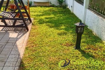 grass-cutting-services-greenage-landscaping-services-singapore-landed-ang-mo-kio-1