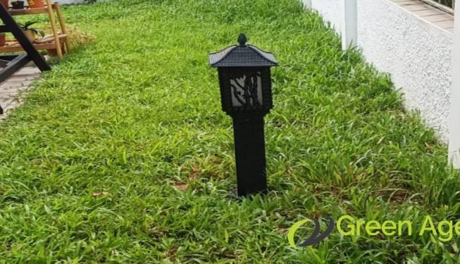 grass-cutting-services-greenage-landscaping-services-singapore-landed-ang-mo-kio-2