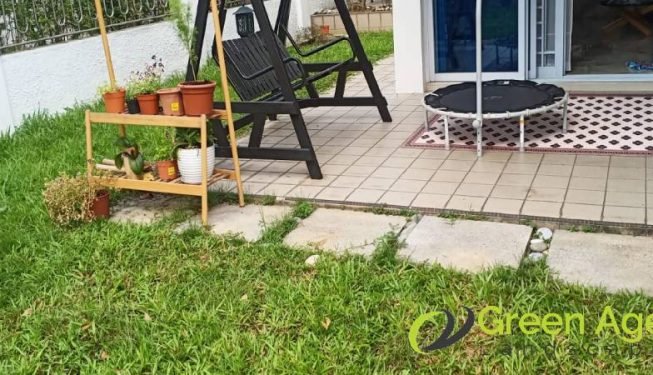 grass-cutting-services-greenage-landscaping-services-singapore-landed-ang-mo-kio-3