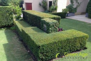 Why It's Important to Regularly Engage Hedge Trimming Services For Your Home in Singapore 3 increases-property-value-why-its-important-to-regularly-engage-hedge-trimming-services-for-your-home-hedge-trimming-greenage-landscaping-services-singapore