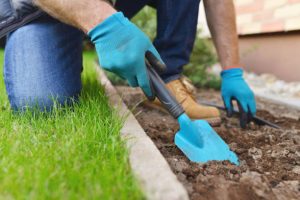 The Ultimate Guide to DIY Grass Turfing Installation for Your Singapore Garden 3 preparing-your-garden-the-ultimate-guide-to-diy-grass-turfing-installation-for-your-singapore-garden-grass-turfing-greenage-landscaping-services-singapore
