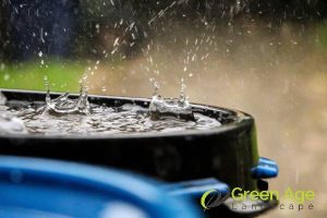 6 Sustainable DIY Landscaping Services Using Eco-Friendly Practices in Singapore 3 rainwater-harvesting-6-sustainable-diy-landscaping-services-using-eco-friendly-practices-landscaping-services-greenage-landscaping-services-singapore