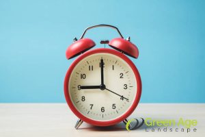 Why Hiring Grass Turf Installation Experts is the Key to Saving Time and Money in Singapore 4 time-saving-why-hiring-grass-turf-installation-experts-is-the-key-to-saving-time-and-money-grass-turfing-greenage-landscaping-services-singapore
