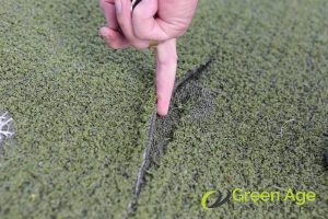 5 Common Fake Grass Issues in Singapore and How to Fix Them 3 ware-and-tear-5-common-fake-grass-issues-and-how-to-fix-them-fake-grass-greenage-landscaping-services-singapore