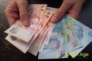 cost-considerations-how-to-select-the-right-grass-turfing-for-your-lawn-grass-turfing-greenage-landscaping-services-singapore