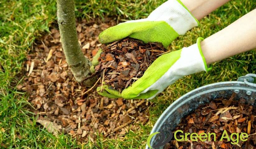 featured-8-ways-to-ensure-sustainable-landscaping-greenage-landsaping-services-singapore
