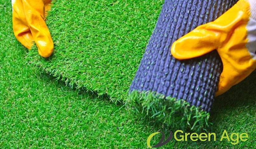 featured-how-to-select-the-right-grass-turfing-for-your-lawn-grass-turfing-greenage-landscaping-services-singapore