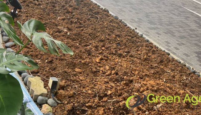 garden-maintenance-services-greenage-landscaping-services-singapore-condo-tiong-bahru-2