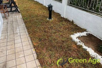 garden-maintenance-services-greenage-landscaping-services-singapore-landed-ang-mo-kio-1