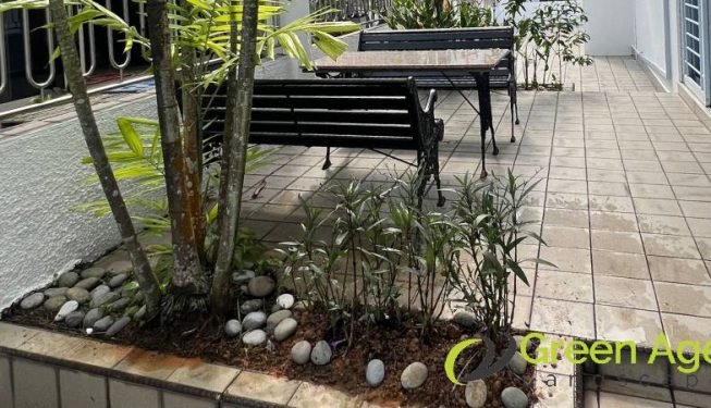 garden-maintenance-services-greenage-landscaping-services-singapore-landed-ang-mo-kio-3