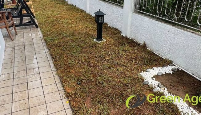 garden-maintenance-services-greenage-landscaping-services-singapore-landed-ang-mo-kio-5