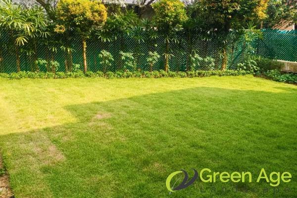 grass-cutting-services-greenage-landscaping-services-singapore-landed-bukit-timah-1