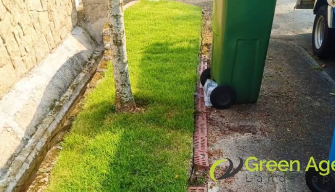 grass-cutting-services-greenage-landscaping-services-singapore-landed-bukit-timah-10