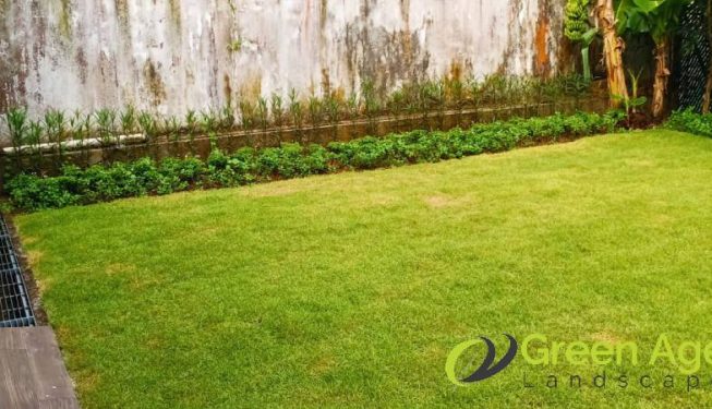 grass-cutting-services-greenage-landscaping-services-singapore-landed-bukit-timah-11