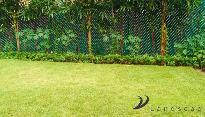 grass-cutting-services-greenage-landscaping-services-singapore-landed-bukit-timah-12