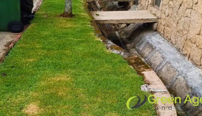 grass-cutting-services-greenage-landscaping-services-singapore-landed-bukit-timah-14