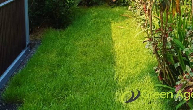 grass-cutting-services-greenage-landscaping-services-singapore-landed-bukit-timah-3