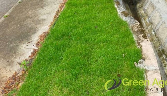 grass-cutting-services-greenage-landscaping-services-singapore-landed-bukit-timah-4