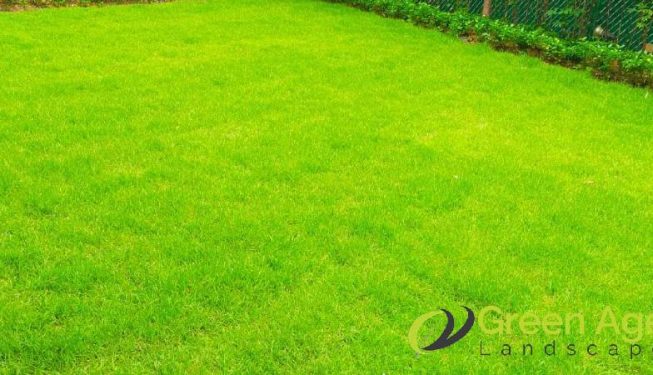 grass-cutting-services-greenage-landscaping-services-singapore-landed-bukit-timah-6