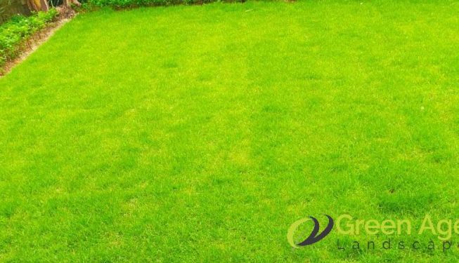 grass-cutting-services-greenage-landscaping-services-singapore-landed-bukit-timah-7