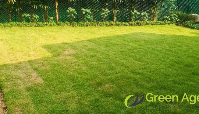 grass-cutting-services-greenage-landscaping-services-singapore-landed-bukit-timah-8