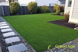 purpose-of-the-lawn-how-to-select-the-right-grass-turfing-for-your-lawn-grass-turfing-greenage-landscaping-services-singapore