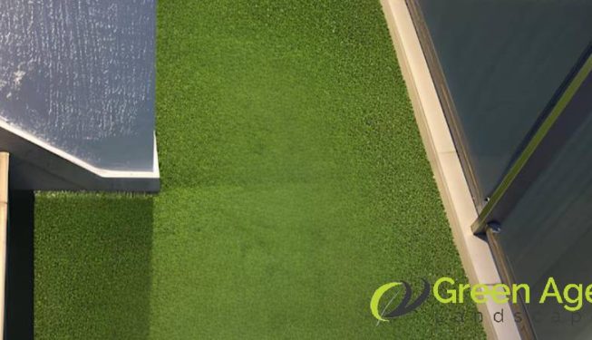 carpet-grass-installation-services-greenage-landscaping-services-condo-bukit-timah-2